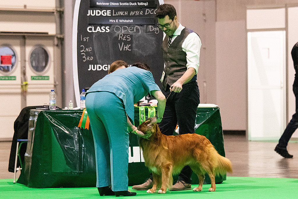 Edisons Kopf wird von der Richterin vermessen
