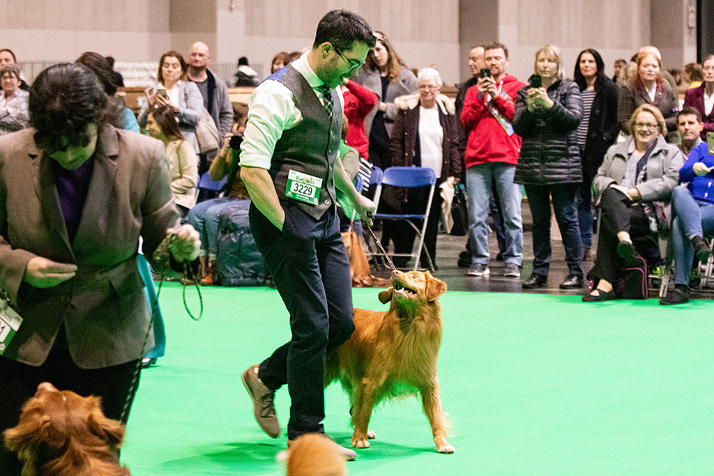 Edison geht an Stephans Seite freudestrahlend zu seiner Platzierung