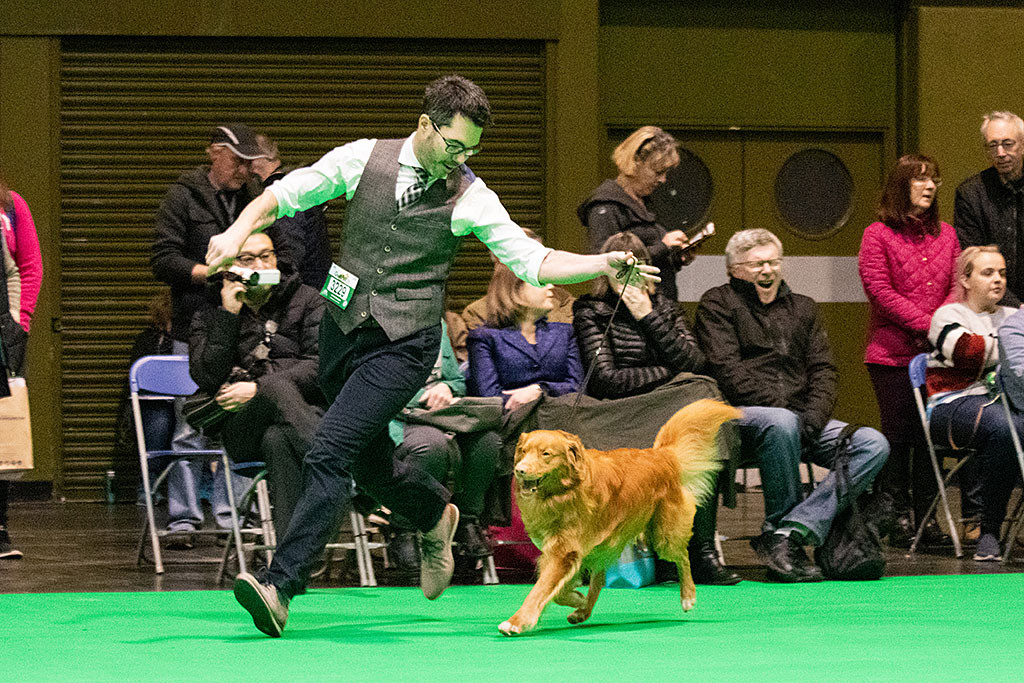 Edison fliegt an Stephans Seite förmlich durch den Ring