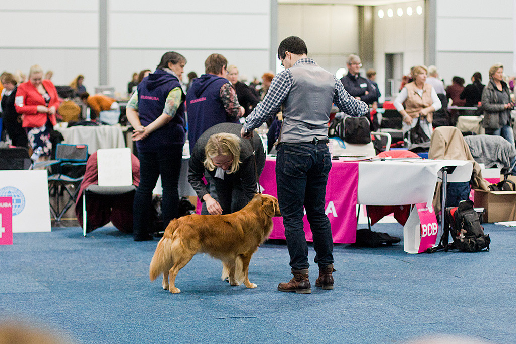 Edison wird von der Richterin abgetastet
