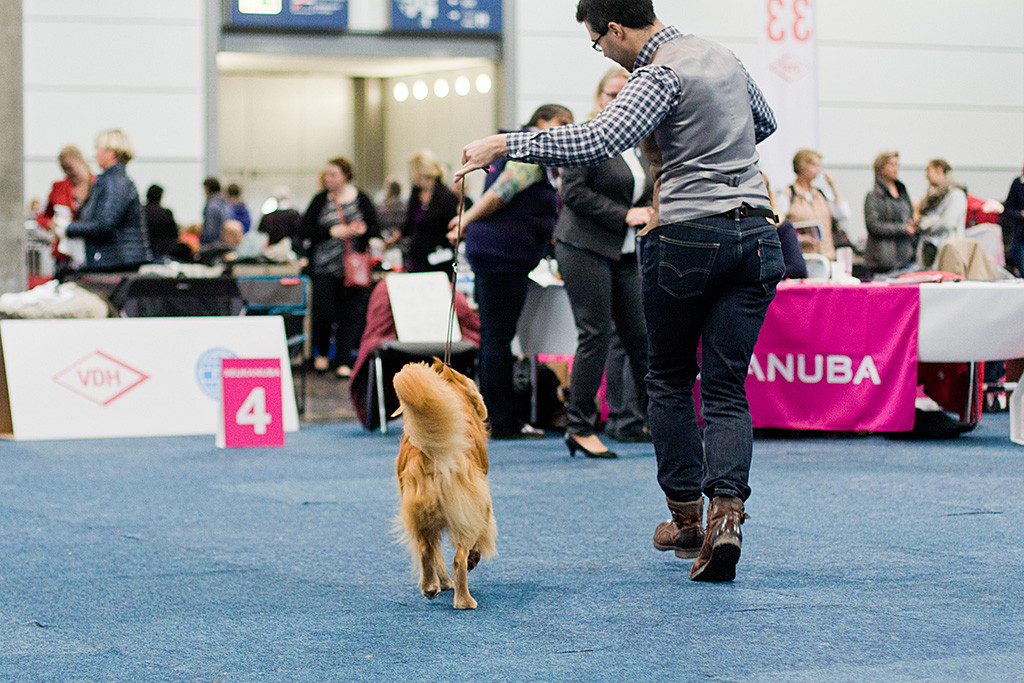 Edison läuft geführt von Stephan auf die Richterin zu