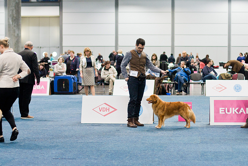 Edison steht wie eine Eins neben Stephan im Ring