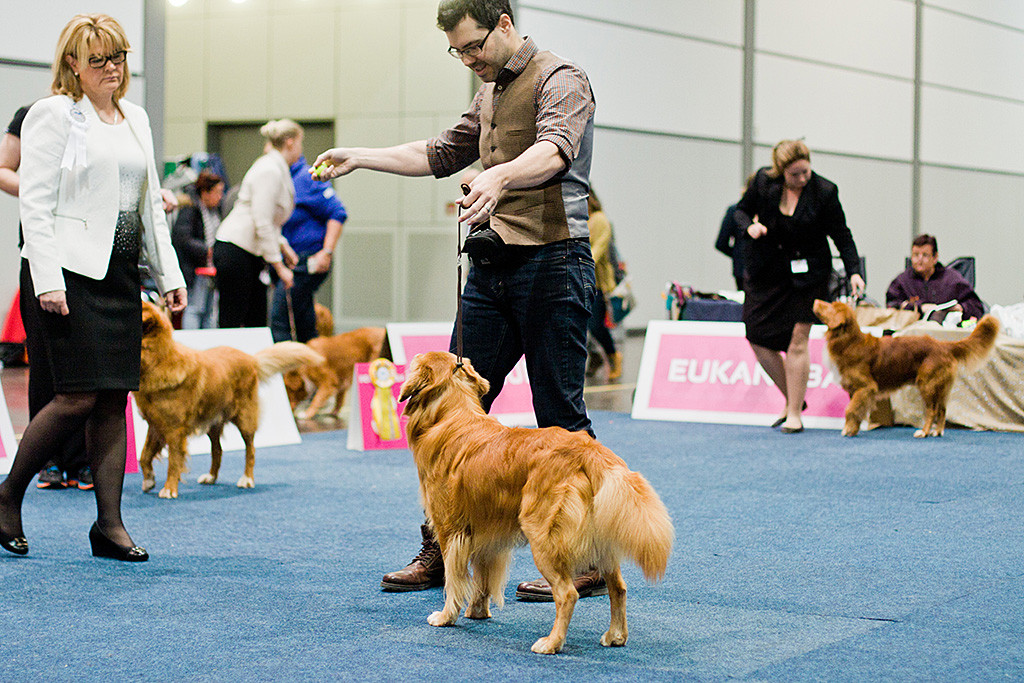 Edison wird der Richterin vorgeführt