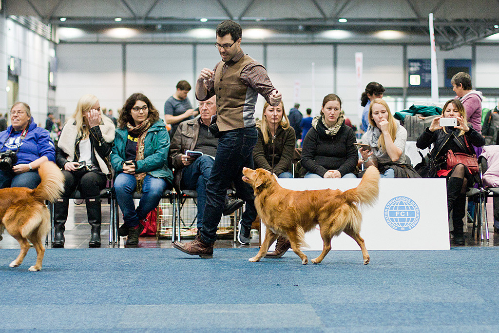 Edison läuft an Stephans Seite durch den Ring und schaut dabei zu ihm hoch