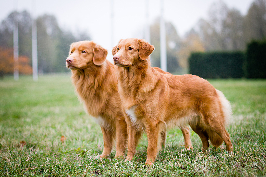 Edison steht neben Ivalu, leicht seitlicher Anblick