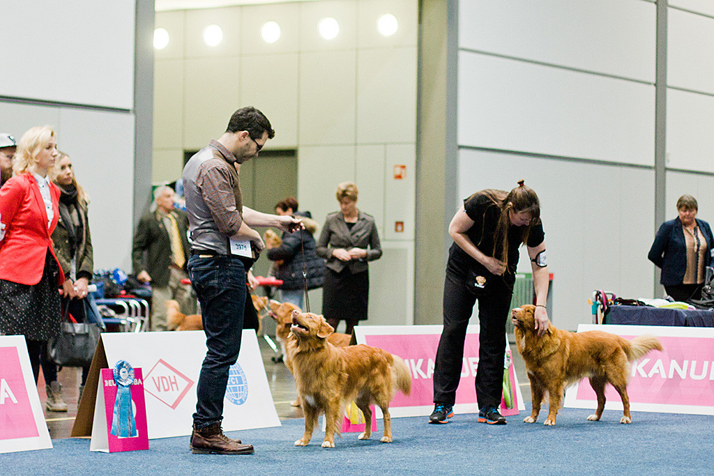 Edison himmelt Stephan an, der ihm ein Leckerchen gibt