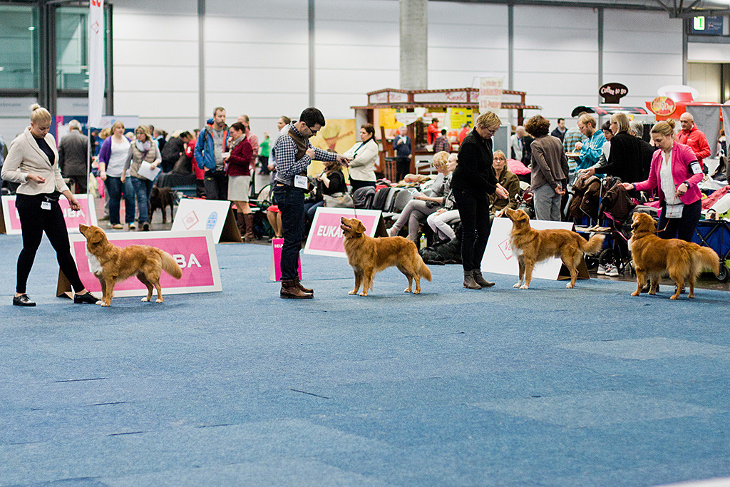 Edison nimmt Aufstellung in der Championklasse