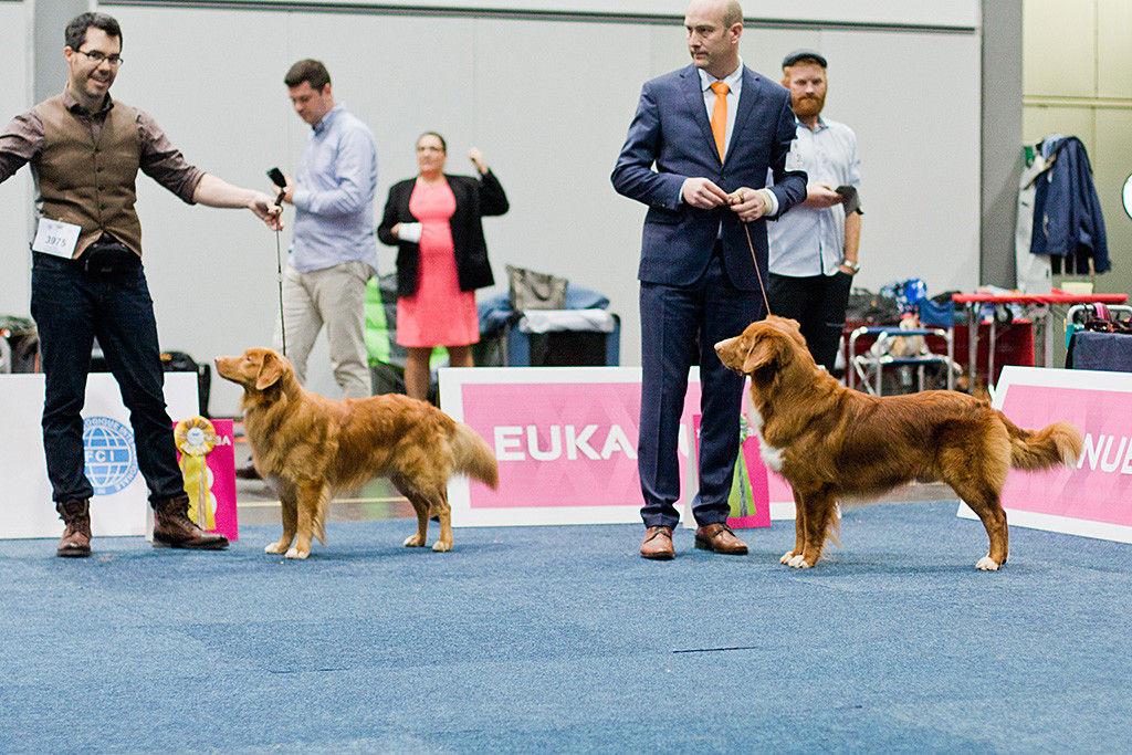 Edison als Drittplatzierter neben Duckinson Jaguar dem Viertplatziertem