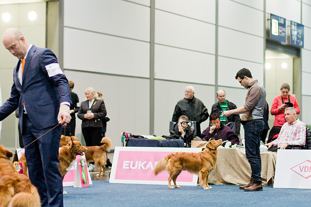 Edison steht vor Stephan im Ring und schaut zu ihm hoch