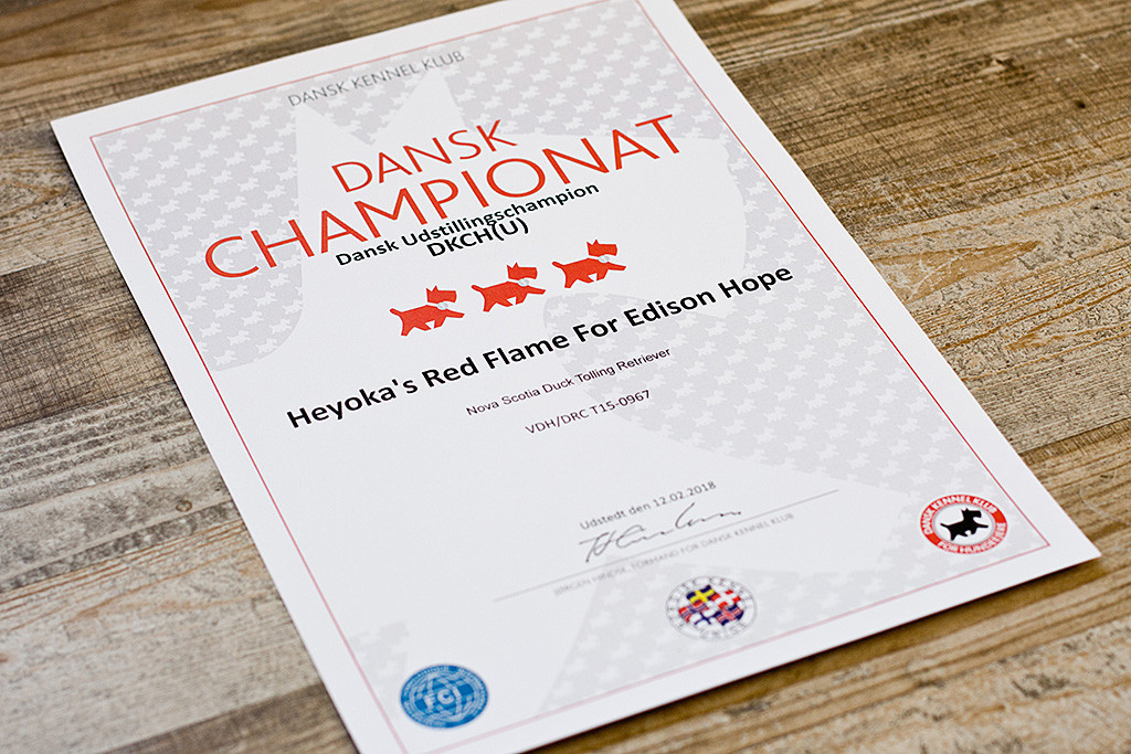 Edisons Urkunde zum dänischen Champion