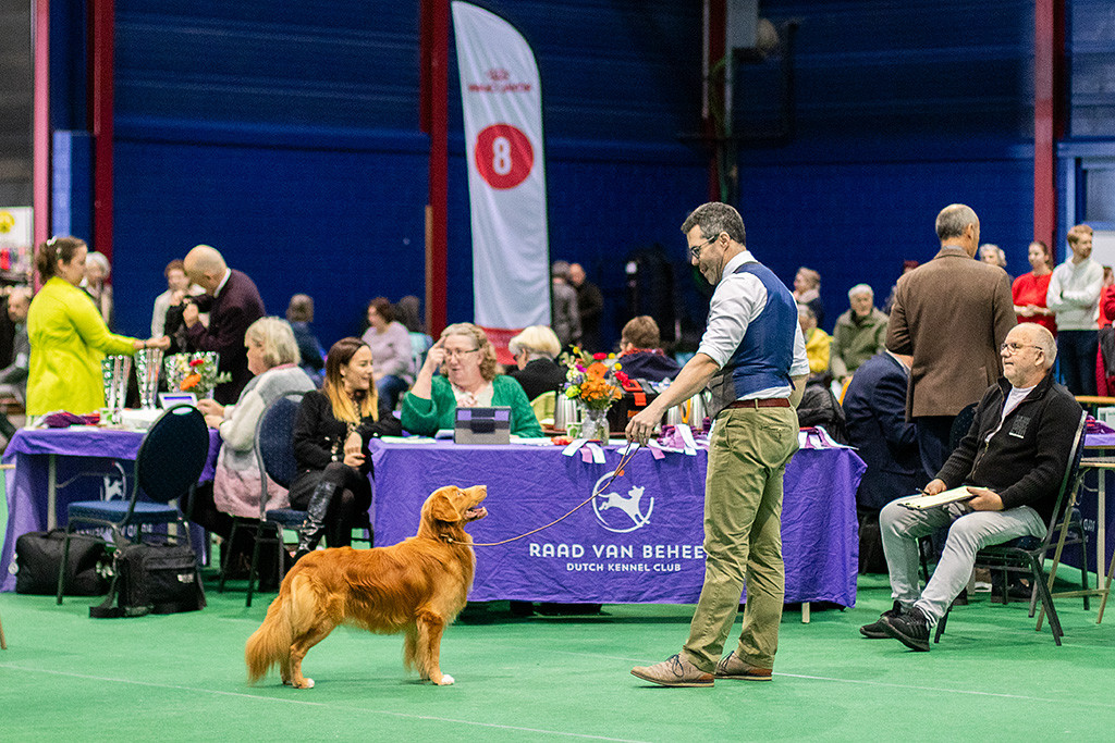 Newton steht vor dem Richtertisch in bester Positur