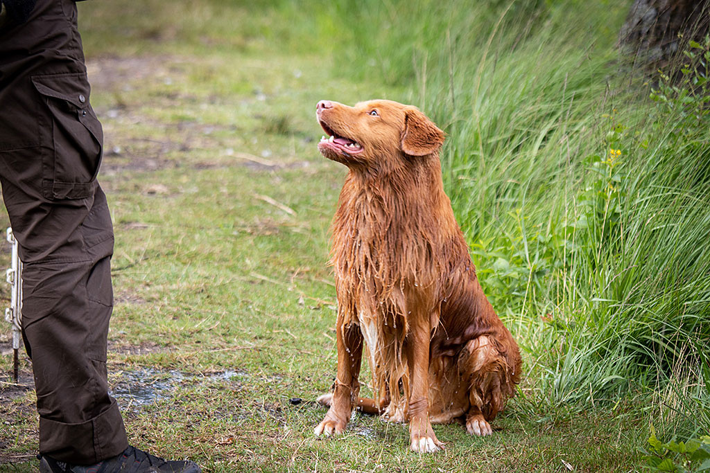 Edison sitzt klitschnass vor Stephan und lächelt nach getaner Arbeit zufrieden zu ihm hoch