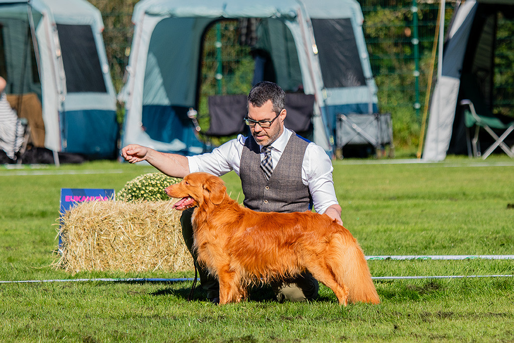 Newton steht in perfekter Pose im Seitenprofil im Gras, dahinter kniend Stephan