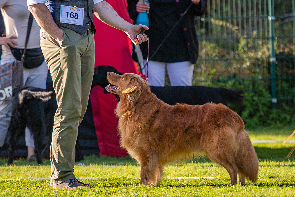 Edison steht frontal vor Stephan im Gras, der ihm Schatten spendiert