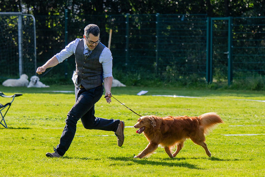 Edison läuft im perfekten Kreuzgang an Stephans Seite durch den Ring