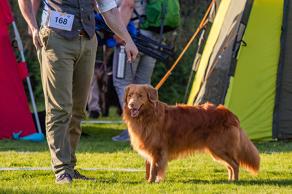 Edison steht lächelnd vor Stephan im Gras und schaut dabei seitlich Richtung Richter