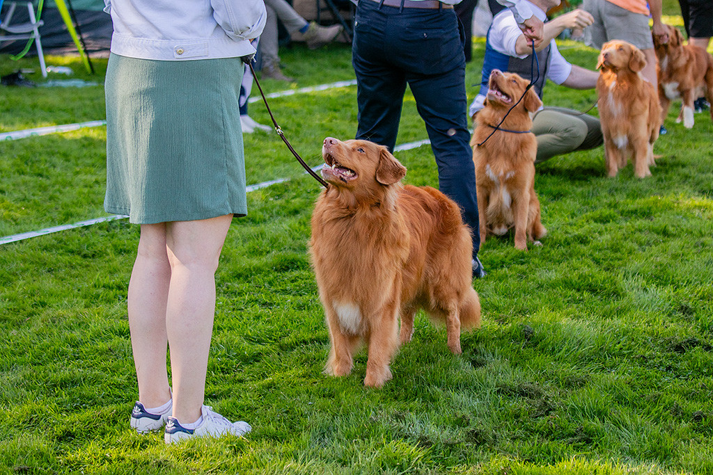 Edison steht frontal vor Ann-Kathrin und schaut lächelnd zu ihr hoch, dahinter aufgereiht andere Toller