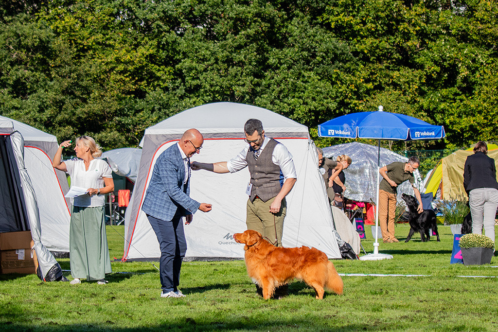 Edison steht frontal vor dem Richter, der seine Hand zu ihm ausstreckt