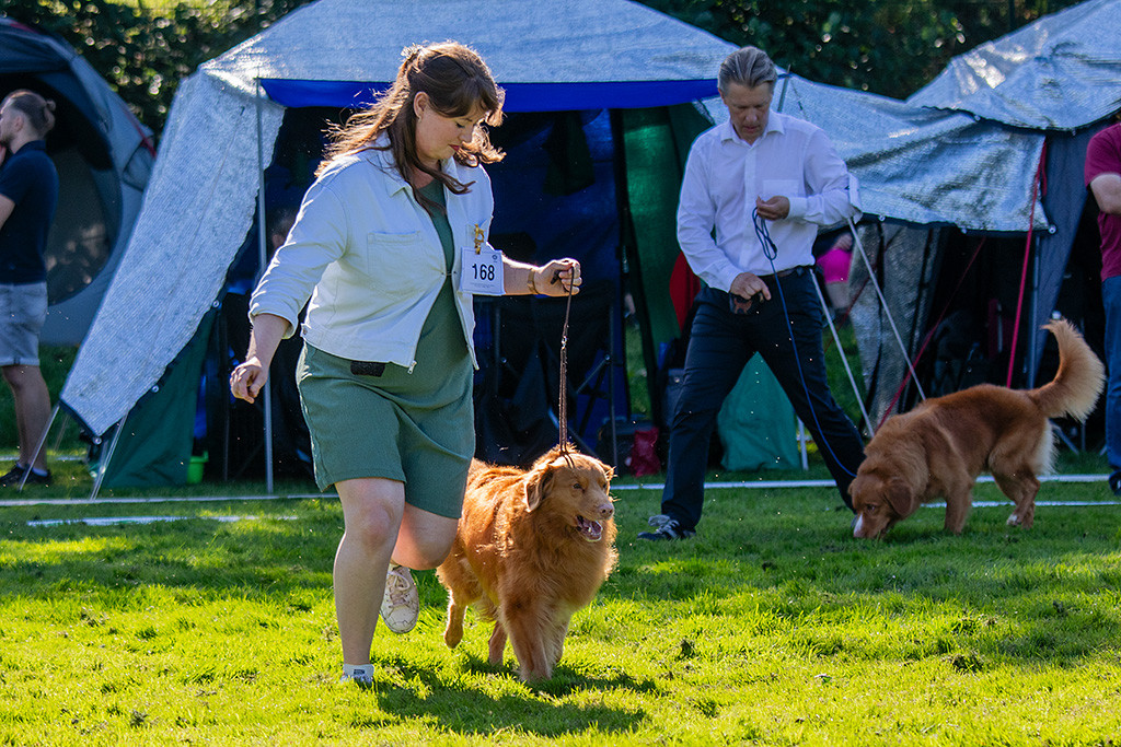 Edison läuft freudig an Ann-Kathrins Seite durch den Ring