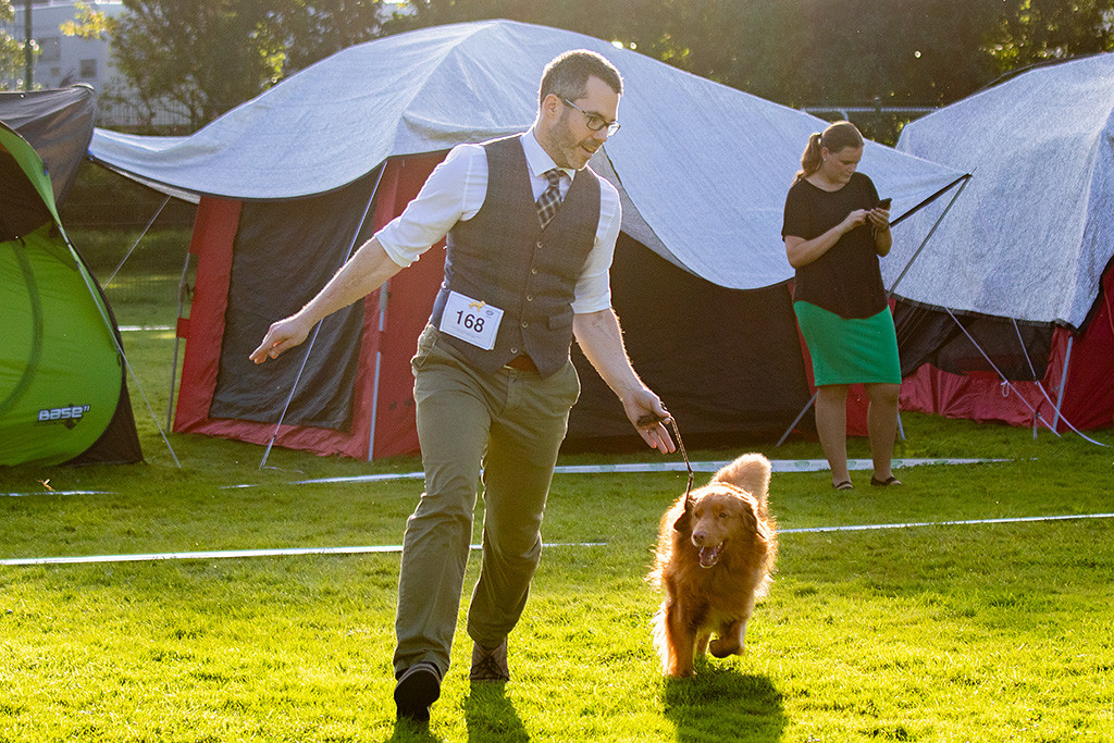 Edison läuft freudig an Stephans Seite durch den Ring