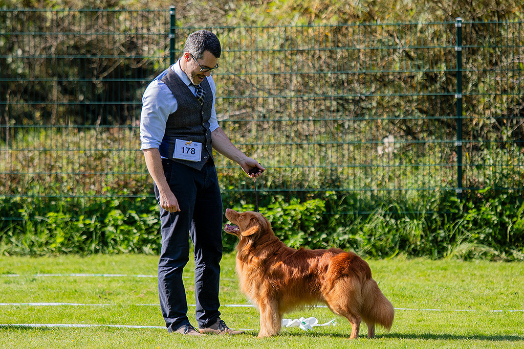 Edison steht frontal vor Stephan im Gras, der ihm Schatten spendiert