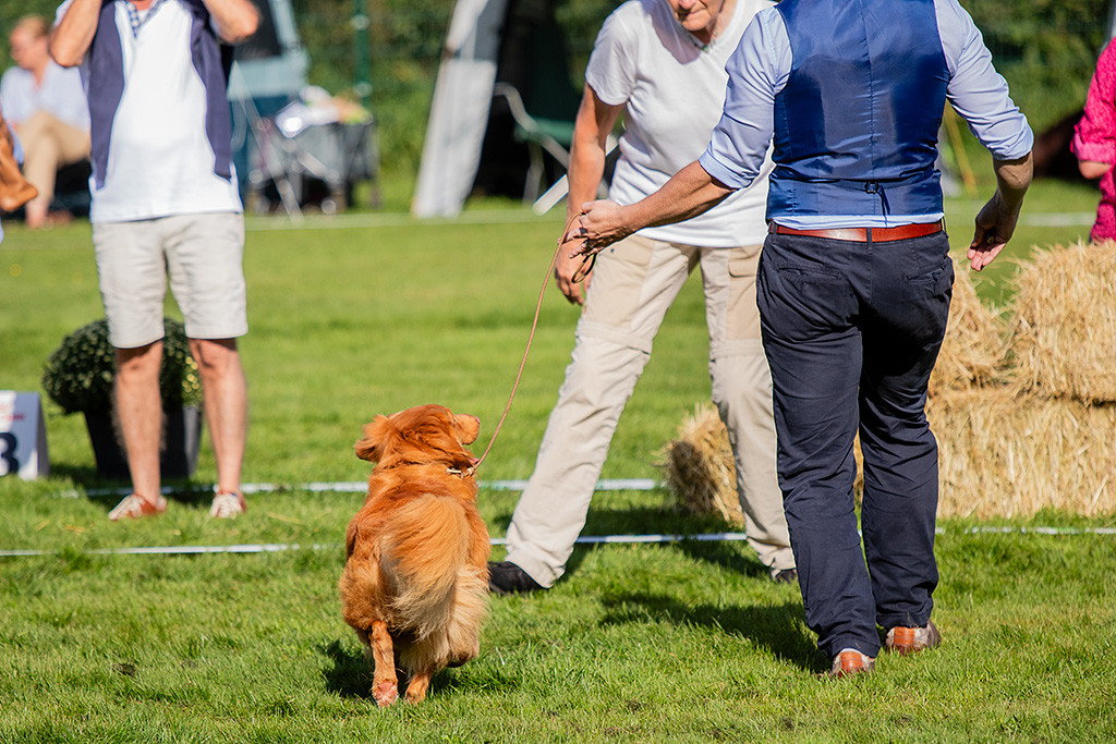 Newton bei der Gangwerkprobe auf die Richterin zu