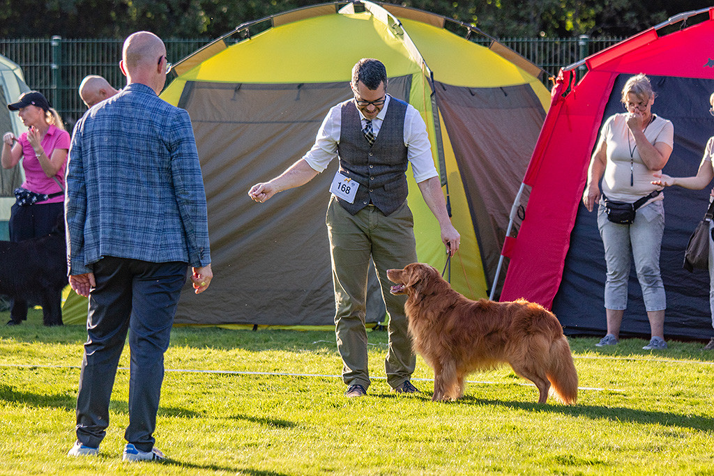 Edison steht frontal vor Stephan im Gras und wird dabei vom Richter beäugt