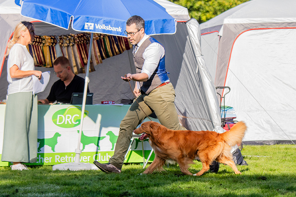 Newton fliegt im perfekten Kreuzgang an Stephans Seite durch den Ring