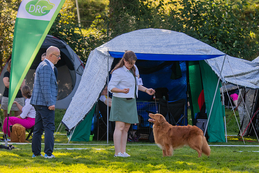 Edison steht frontal vor Ann-Kathrin und lächelt hoch zum Richter, der sich ihn nochmal näher anschaut