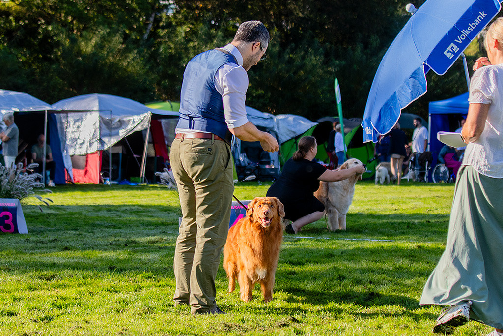 Edison steht lächelnd vor dem Richtertisch und schaut hoch zu Stephan