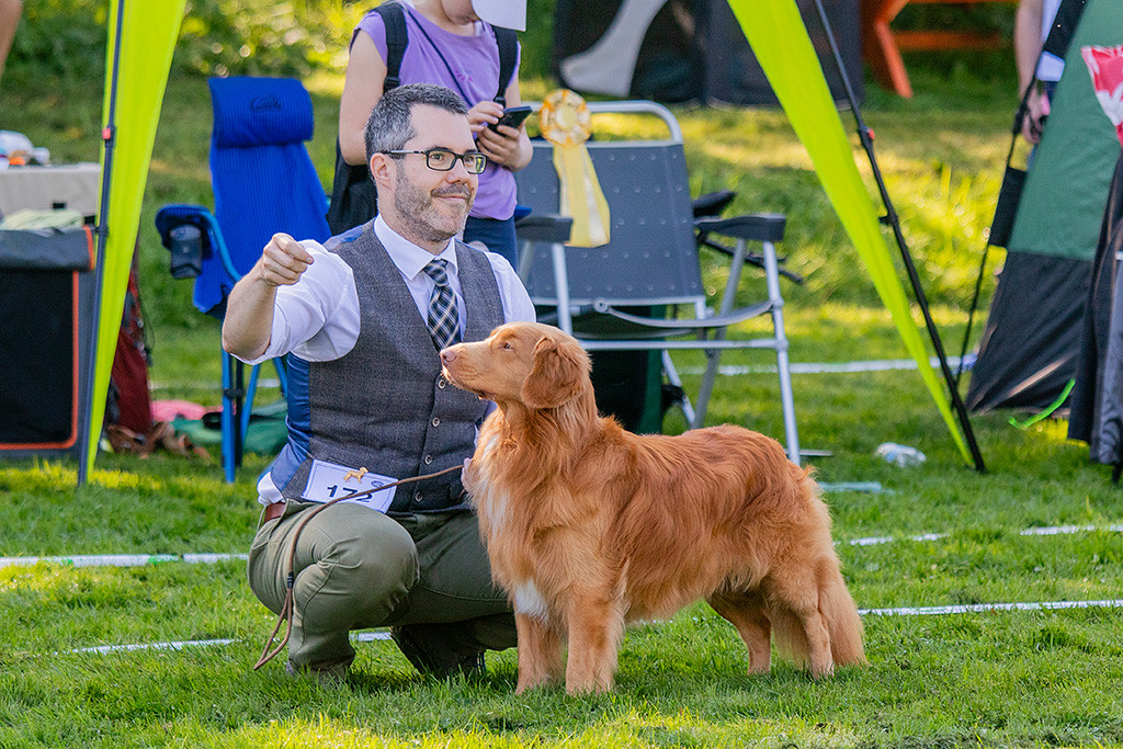 Newton steht in perfekter Pose im Seitenprofil im Gras, dahinter kniend Stephan