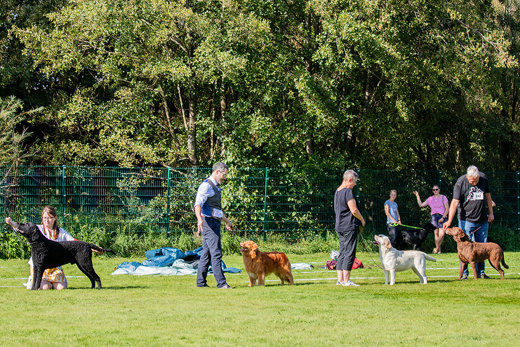 Edison steht in einer Reihe mit den anderen Rassebesten