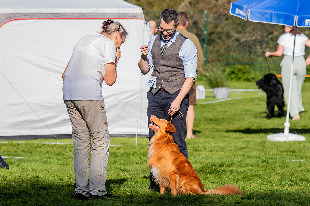 Newton sitzt neben Stephan und schaut zur Richterin hoch, die mit Lauten seine Aufmerksamkeit bekommen möchte