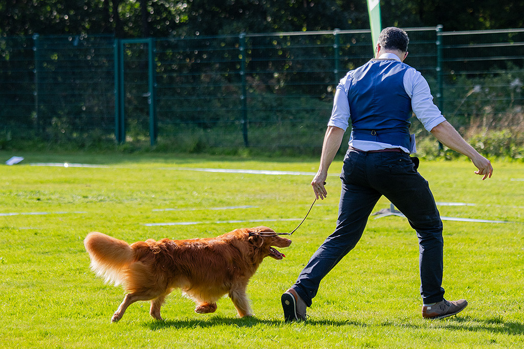 Edison läuft an Stephans Seite auf der Geraden