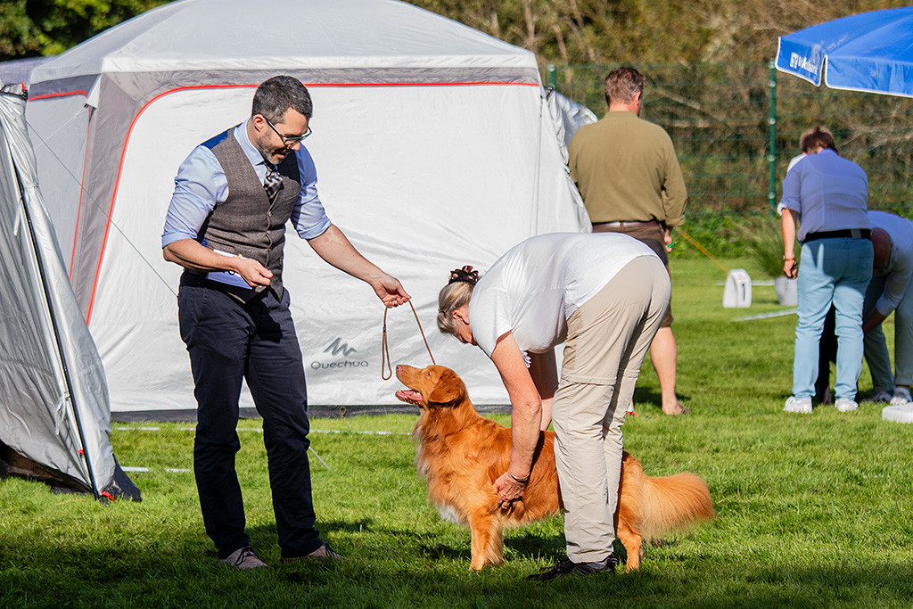 Newton wird von der Richterin abgetastet und lächelt dabei Stephan an