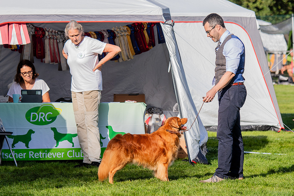 Edison steht lächelnd vor dem Richtertisch und schaut hoch zu Stephan, im Hintergrund diktiert die Richterin den Bericht