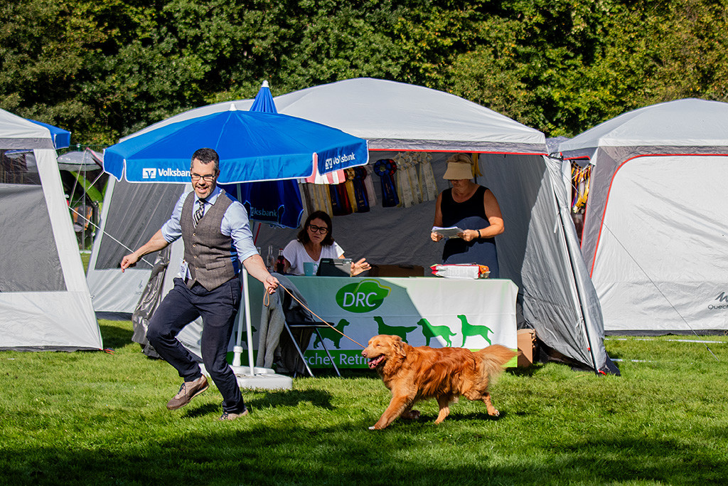 Newton fliegt im perfekten Kreuzgang durch den Ring
