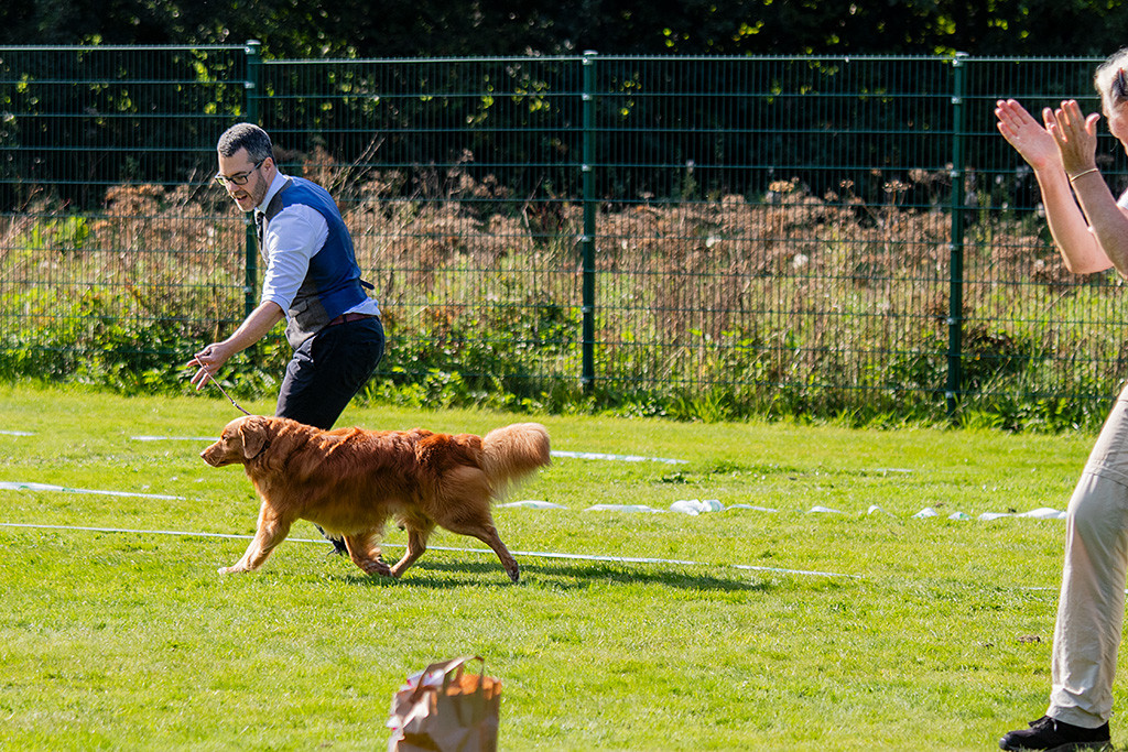 Edison läuft im perfekten Kreuzgang an Stephans Seite durch den Ring