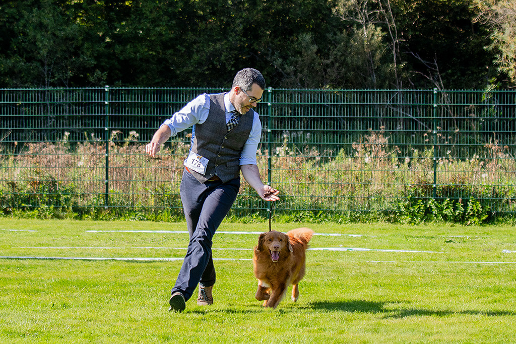 Edison läuft freudig an Stephans Seite durch den Ring