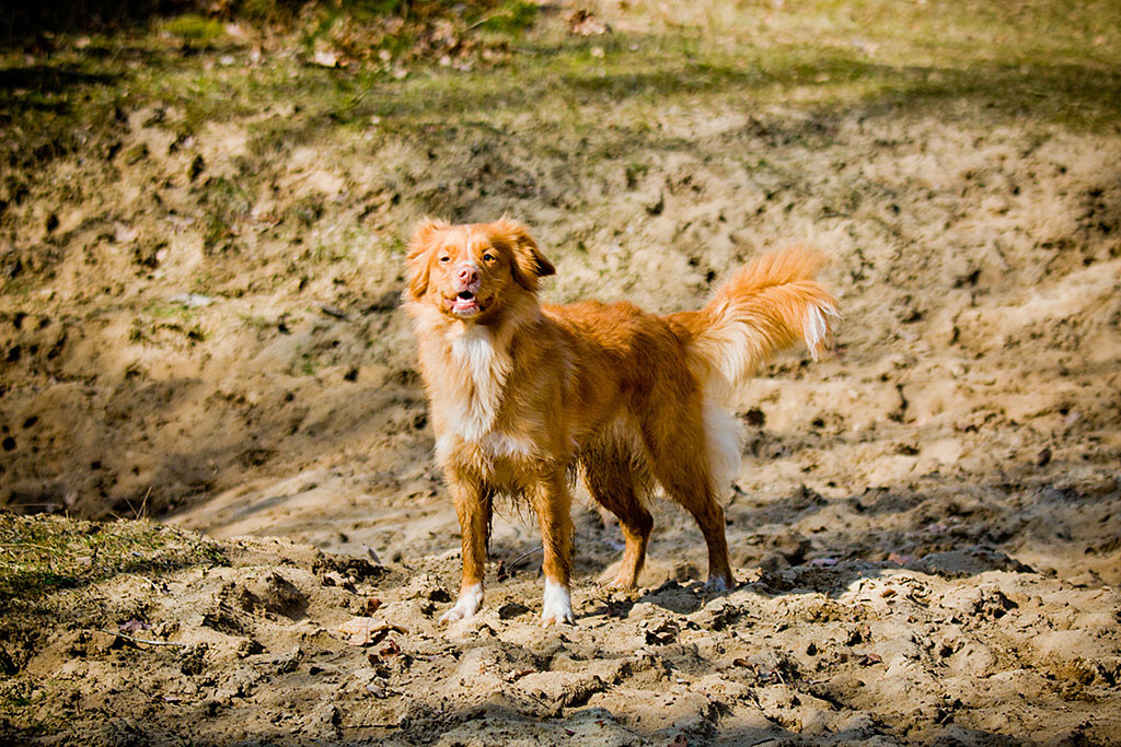 Frieda steht stolz in einer Sandkuhle