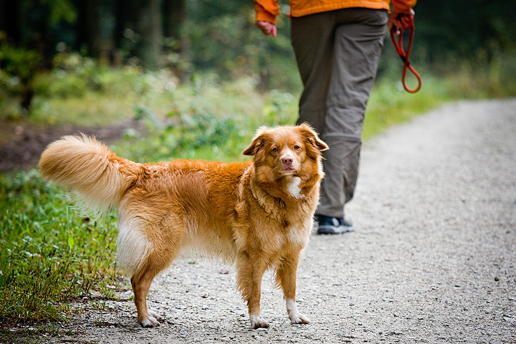 Frieda steht seitlich und dreht ihren Kopf zur Kamera, im Hintergrund ist Sigrid zu sehen