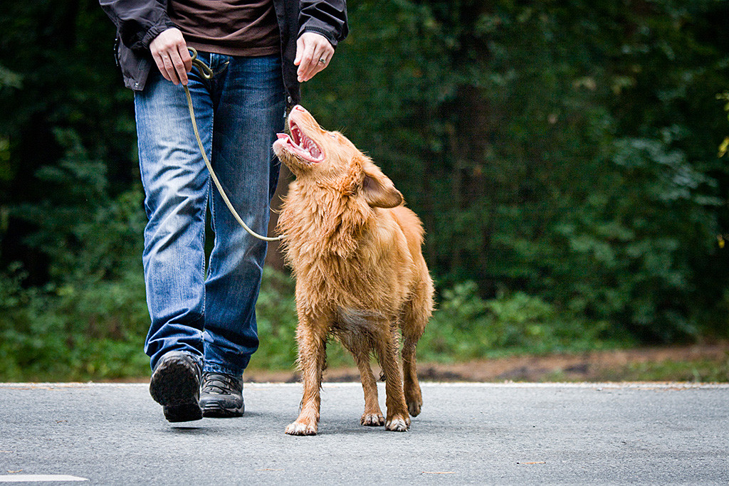 Edison schaut beim Überqueren der Straße lächelnd zu Stephan hoch