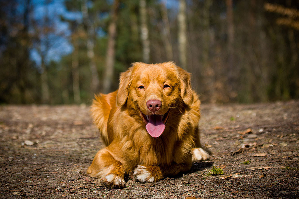 Edison grinst liegend in die Kamera