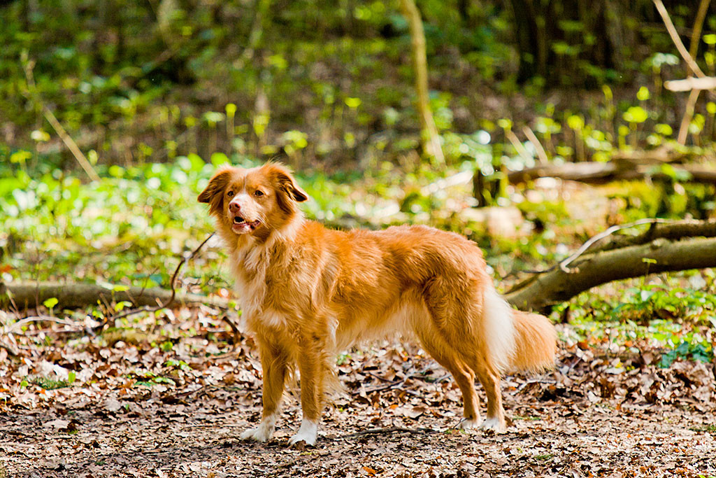Frieda posiert stolz