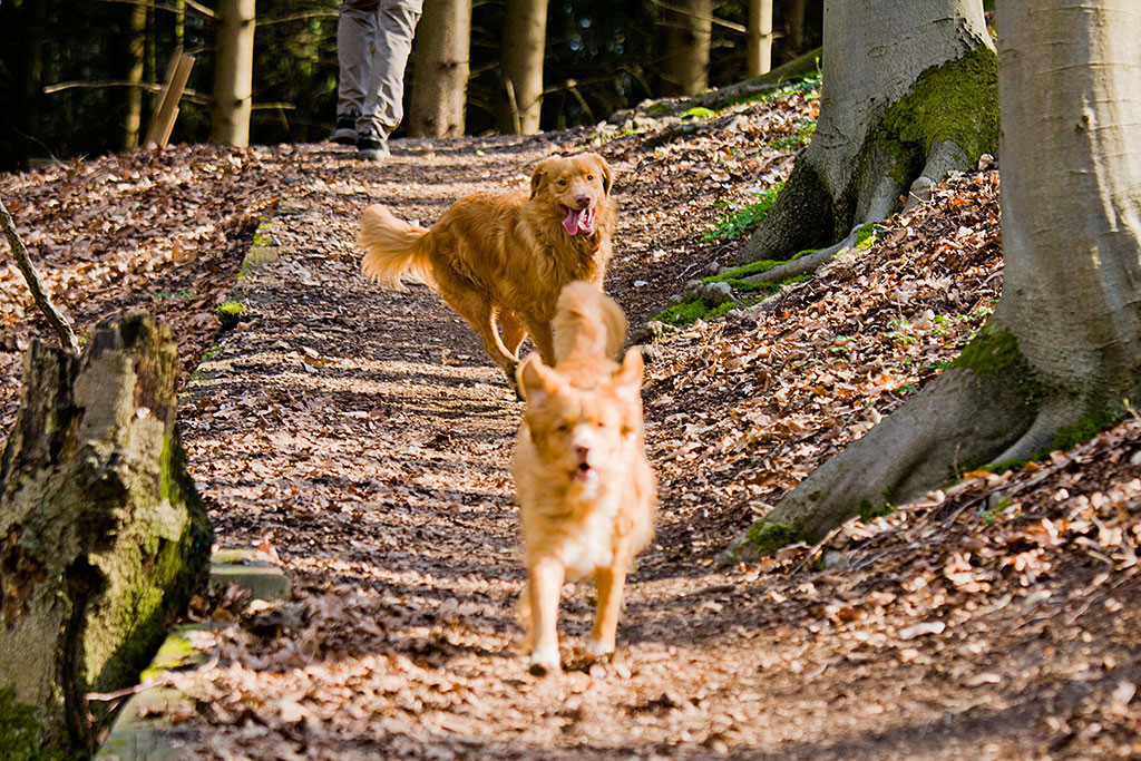 Edison versucht Frieda hinterherzurennen, die auf die Kamera zu läuft
