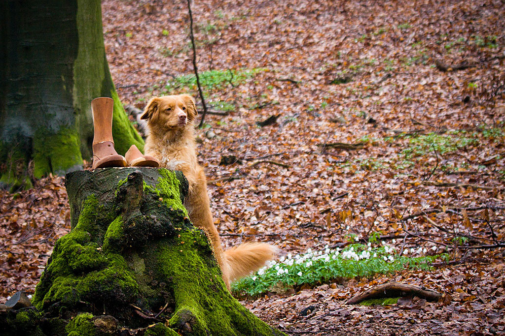 Frieda macht Männchen an einem Hollzstumpf, auf dem ein Leisten befestigt ist