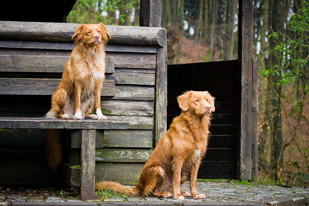 Edison sitzt mit Frieda vor einer Holzhütte, die wiederum auf einer Bank Platz genommen hat