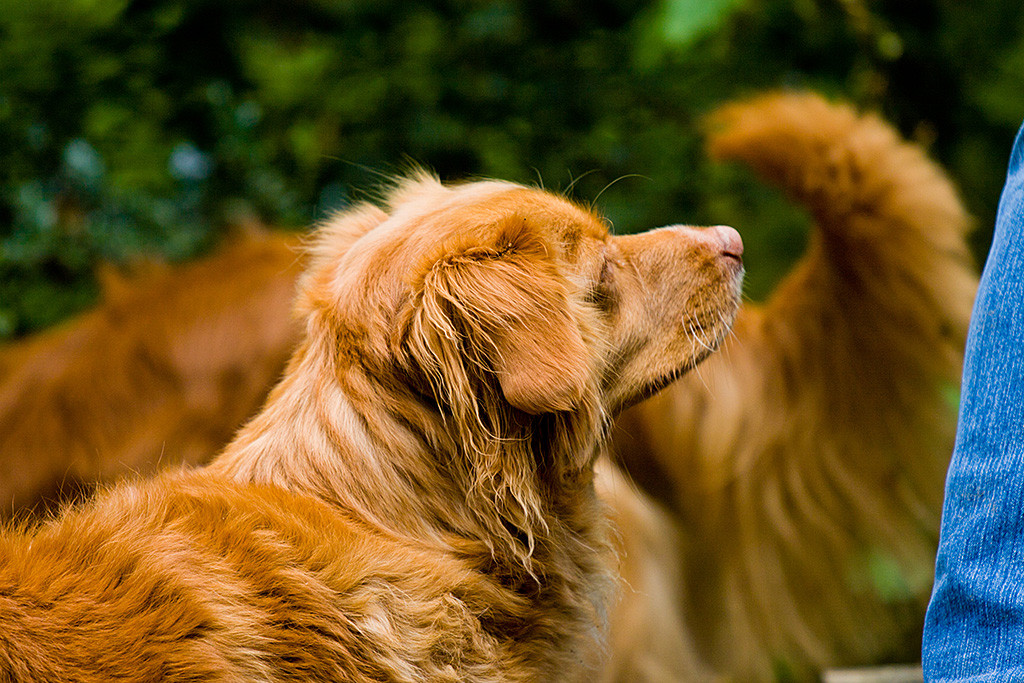 Frieda schaut zu Sigrid hoch