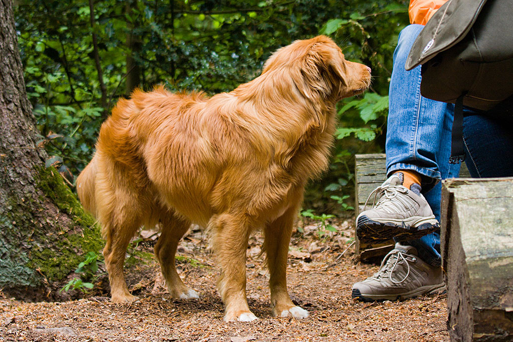 Edison steht vor Sigrid