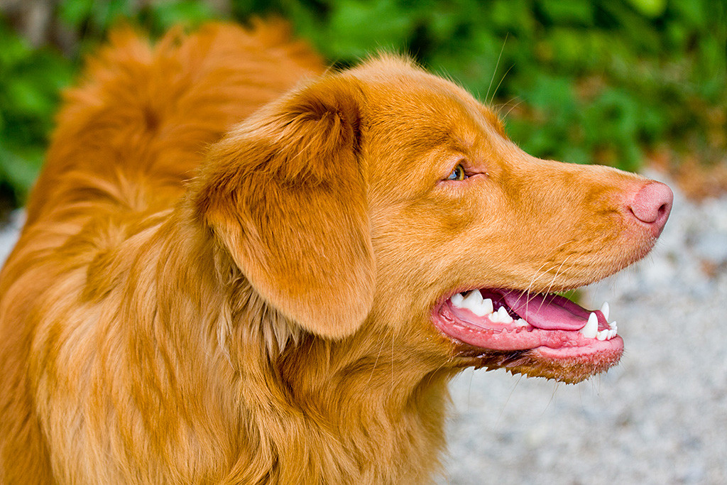 Edison lächelt zur Seite